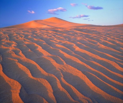 Picture of CALIFORNIA, DUMONT DUNES, SAND DUNES AND CLOUDS