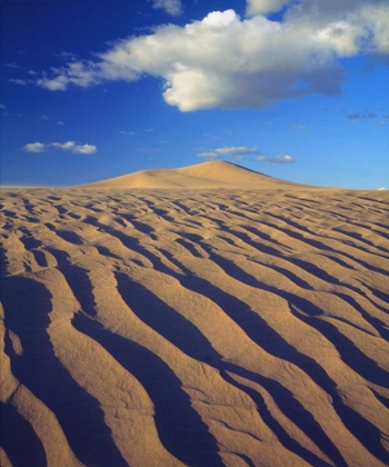 Picture of CALIFORNIA, DUMONT DUNES SAND DUNES AND CLOUDS