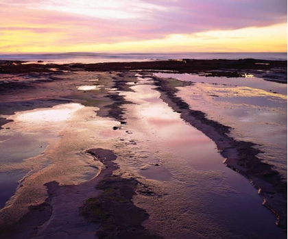 Picture of CALIFORNIA, SAN DIEGO, SUNSET CLIFFS TIDE POOLS
