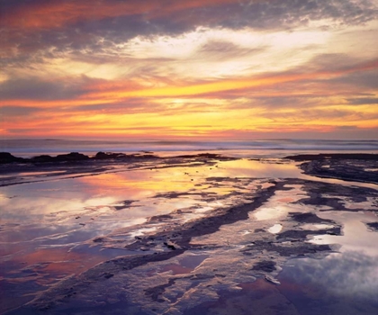 Picture of CALIFORNIA, SAN DIEGO, SUNSET CLIFFS TIDE POOLS