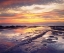 Picture of CALIFORNIA, SAN DIEGO, SUNSET CLIFFS TIDE POOLS