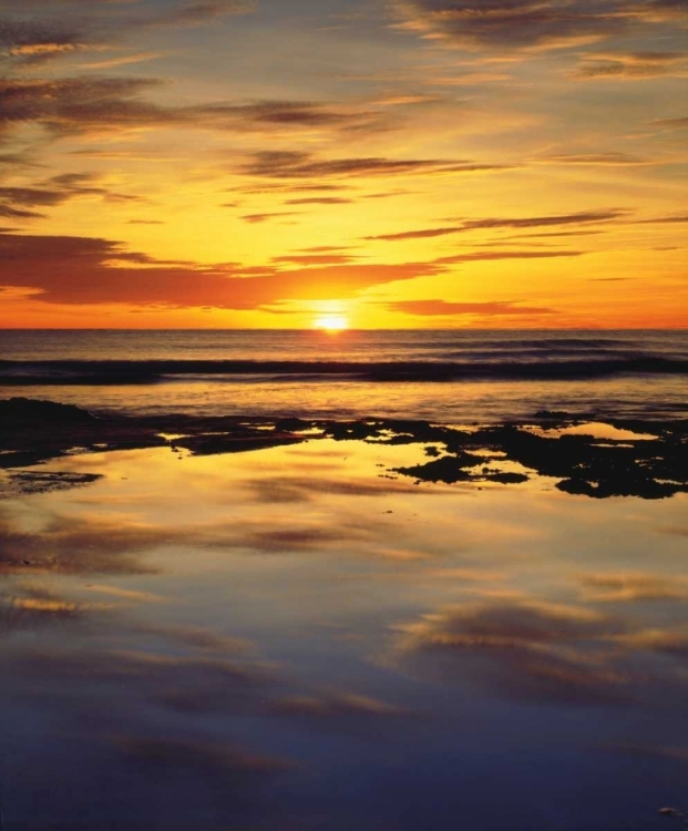 Picture of CALIFORNIA, SAN DIEGO, SUNSET CLIFFS TIDE POOLS