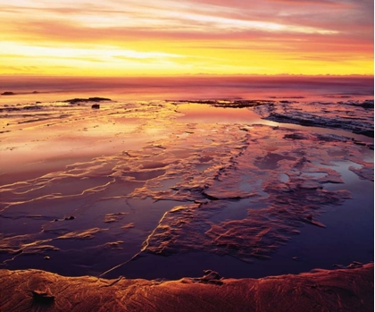 Picture of CALIFORNIA, SAN DIEGO, SUNSET CLIFFS TIDE POOLS