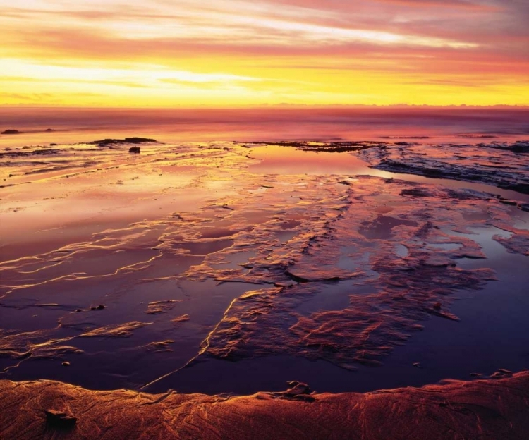 Picture of CALIFORNIA, SAN DIEGO, SUNSET CLIFFS TIDE POOLS