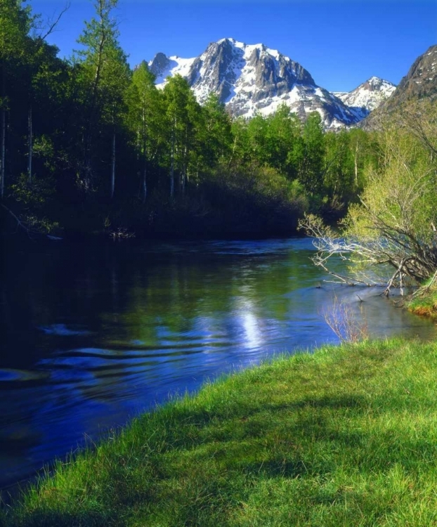 Picture of CALIFORNIA, RUSH CREEK IN THE SIERRA NEVADA MTS