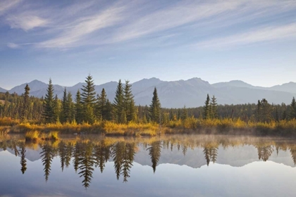 Picture of CANADA, ALBERTA, JASPER NP COTTONWOOD SLOUGH