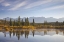 Picture of CANADA, ALBERTA, JASPER NP COTTONWOOD SLOUGH