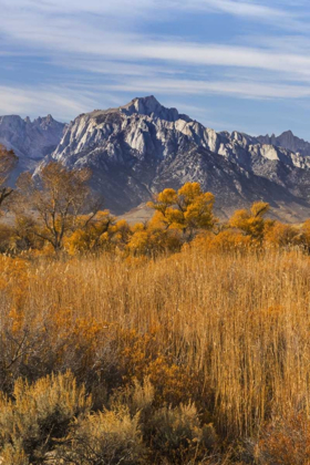 Picture of CALIFORNIA LONE PINE PEAK FROM ALABAMA HILLS