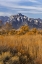 Picture of CALIFORNIA LONE PINE PEAK FROM ALABAMA HILLS