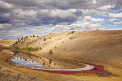 Picture of CANADA, KAMLOOPS, LAC DU BOIS GRASSLANDS PARK