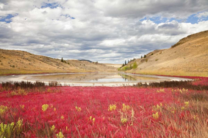 Picture of CANADA, KAMLOOPS, LAC DU BOIS GRASSLANDS PARK