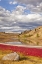Picture of CANADA, KAMLOOPS, LAC DU BOIS GRASSLANDS PARK