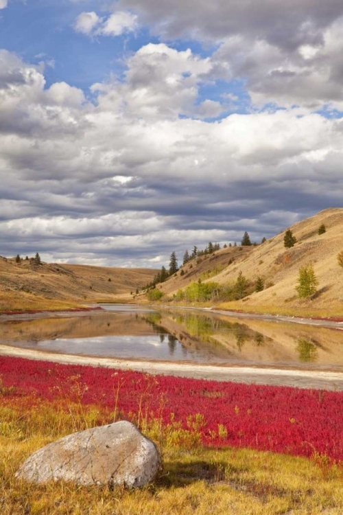 Picture of CANADA, KAMLOOPS, LAC DU BOIS GRASSLANDS PARK