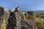 Picture of NEW MEXICO, THREE RIVERS PETROGLYPH ETCHINGS