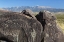 Picture of NEW MEXICO, THREE RIVERS PETROGLYPH ETCHINGS