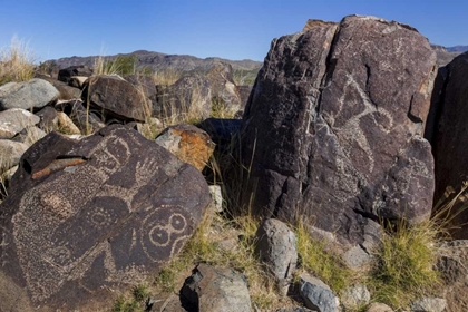 Picture of NEW MEXICO, THREE RIVERS PETROGLYPH ETCHINGS