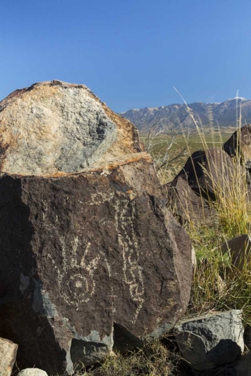 Picture of NEW MEXICO, THREE RIVERS PETROGLYPH ETCHINGS