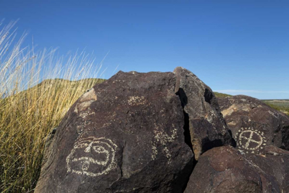 Picture of NEW MEXICO, THREE RIVERS PETROGLYPH ETCHINGS