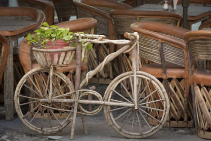 Picture of MEXICO, GUANAJUATO BICYCLE WITH POTTED PLANT