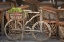 Picture of MEXICO, GUANAJUATO BICYCLE WITH POTTED PLANT