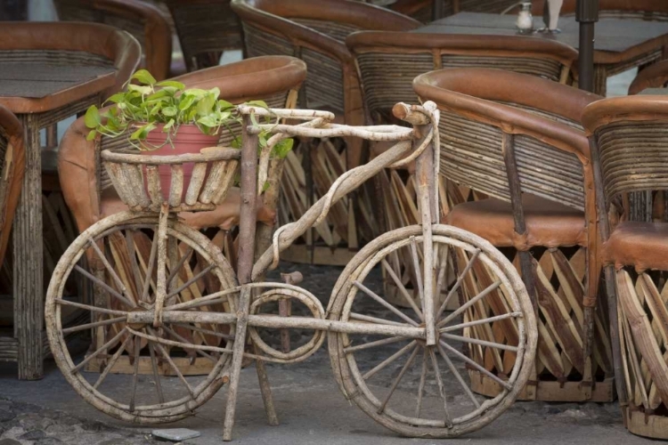Picture of MEXICO, GUANAJUATO BICYCLE WITH POTTED PLANT
