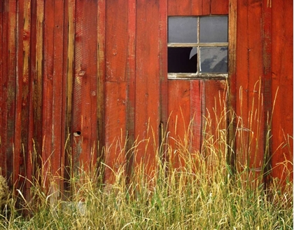 Picture of OR, JOSEPH, GRASSES CONTRAST WITH BROKEN WINDOW