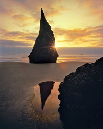 Picture of OREGON ROCK FORMATION AT SUNSET ON BANDON BEACH
