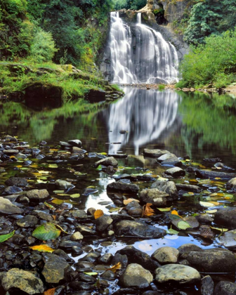 Picture of OREGON, YOUNGS RIVER FALLS WATERFALL LANDSCAPE