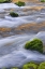 Picture of OREGON, WILLAMETTE NF MCKENZIE RIVER OVER ROCKS