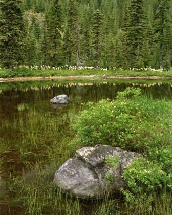 Picture of OREGON, MT HOOD NF REFLECTIONS IN SURPRISE LAKE