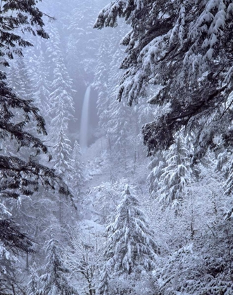 Picture of OREGON, SILVER FALLS NORTH FALLS IN WINTER SNOW