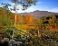 Picture of NH, CHOCORUA AUTUMN LANDSCAPE OF MOUNT CHOCORUA