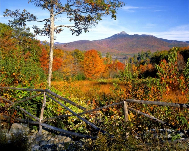 Picture of NH, CHOCORUA AUTUMN LANDSCAPE OF MOUNT CHOCORUA