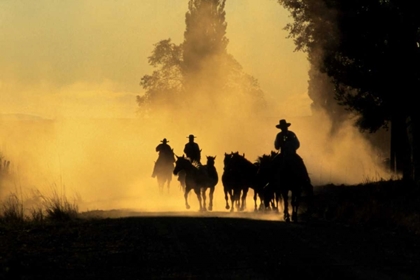 Picture of OR, BURNS COWBOYS DRIVING WILD HORSES ON A ROAD
