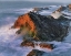 Picture of OR, SHORE ACRES SP SUNSET ON OCEAN SHORE CLIFFS