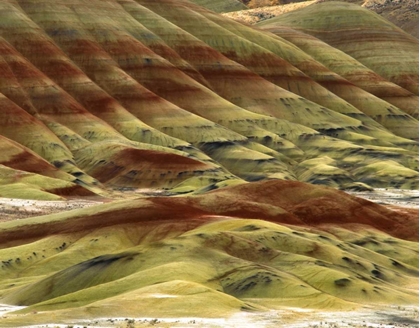 Picture of OR, VOLCANIC ASH HILLS OF THE PAINTED HILLS UNIT