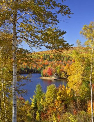 Picture of USA, MAINE, BINGHAM WYMAN LAKE AND AUTUMN COLORS