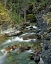 Picture of USA, MONTANA, GLACIER NP STREAM IN SUNRIFT GORGE