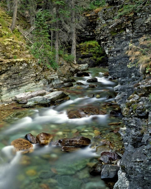 Picture of USA, MONTANA, GLACIER NP STREAM IN SUNRIFT GORGE