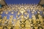 Picture of RUSSIA, PUSHKIN GATE DETAIL AT CATHERINE PALACE