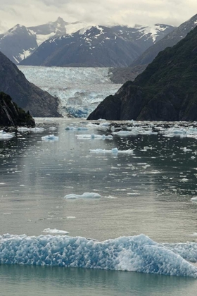 Picture of ALASKA, TRACEY ARM VIEW OF SOUTH SAWYER GLACIER