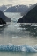 Picture of ALASKA, TRACEY ARM VIEW OF SOUTH SAWYER GLACIER