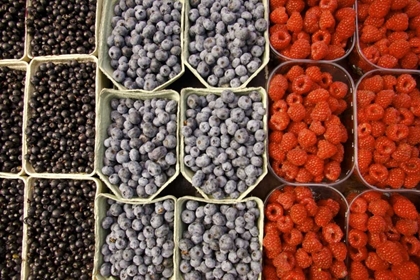 Picture of SWEDEN, STOCKHOLM BERRIES AT THE OUTDOOR MARKET