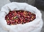 Picture of MEXICO, SIERRA MADRE MTS RAW COFFEE BEANS IN BAG