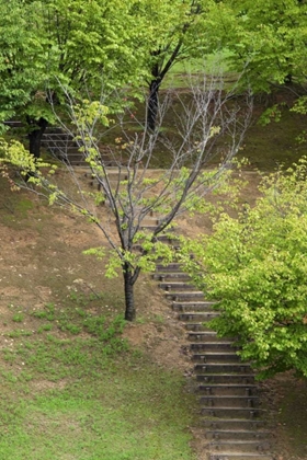 Picture of ASIA, JAPAN, HEGURI-CHO STAIRWAY IN A PARK