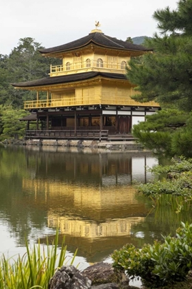 Picture of JAPAN, KYOTO TEMPLE OF THE GOLDEN PAVILION