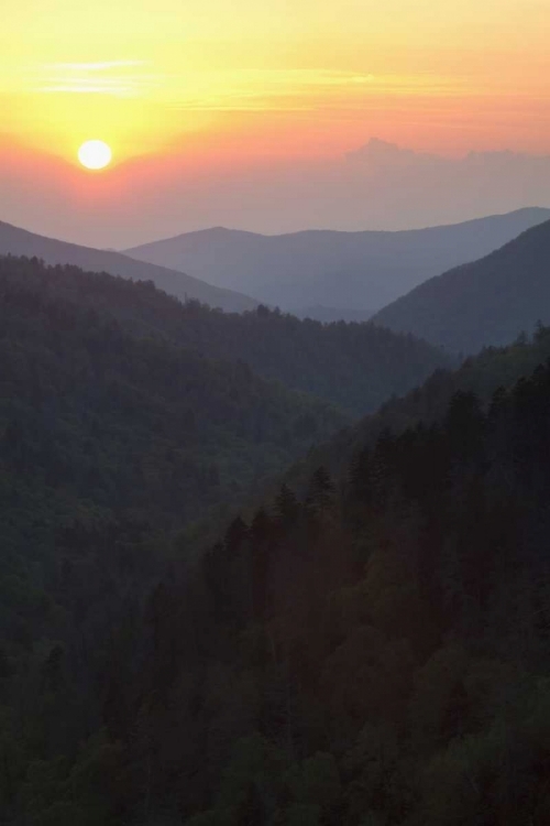 Picture of TENNESSEE, GREAT SMOKY MTS MORTON OVERLOOK