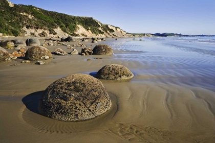 Picture of NEW ZEALAND, SOUTH ISLAND MOERAKI BOULDERS