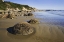 Picture of NEW ZEALAND, SOUTH ISLAND MOERAKI BOULDERS