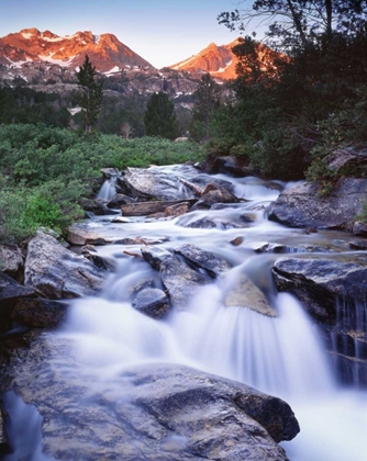 Picture of NEVADA STREAM RUNS THROUGH LAMOILLE CANYON